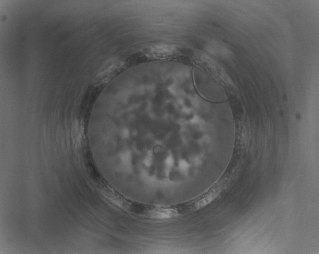 X0000051890711200506241349