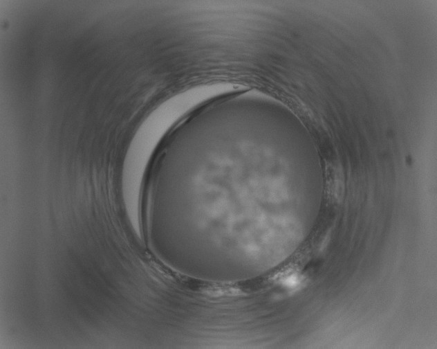 X0000051890712200506241349