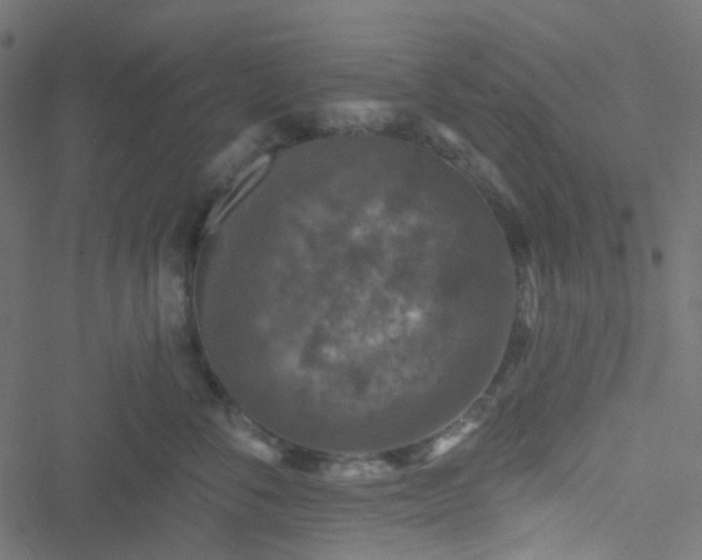 X0000051890716200506241349