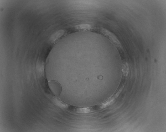 X0000051890717200506241349