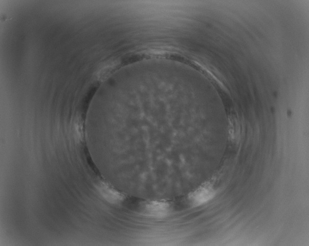 X0000051890718200506241349