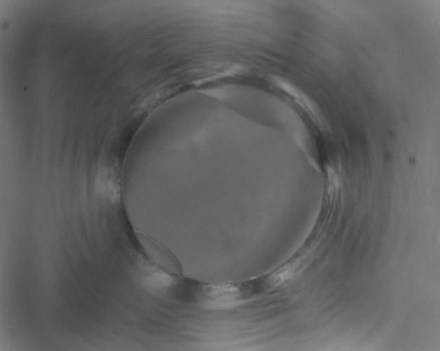 X0000051890719200506241349