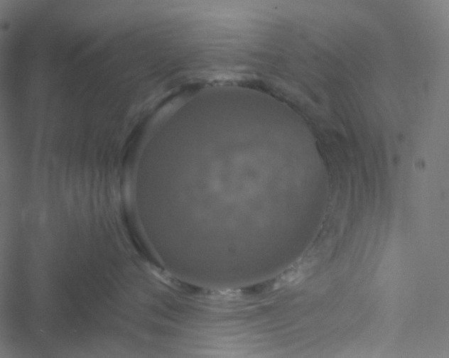 X0000051890720200506241349