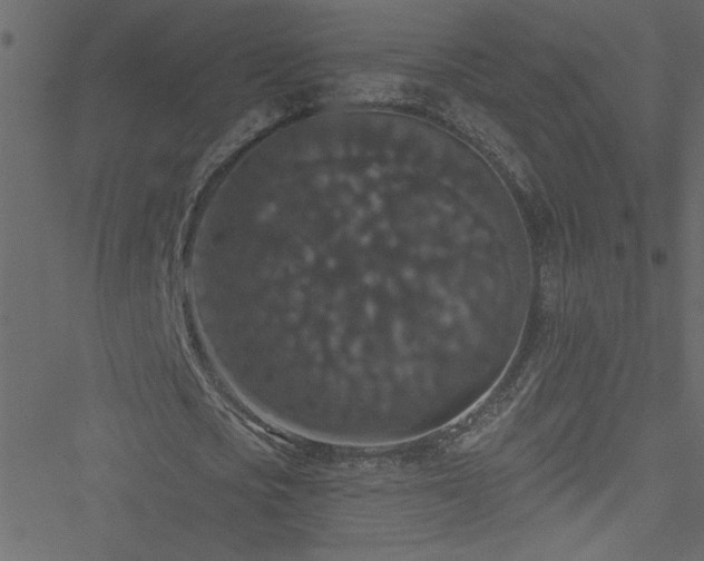 X0000051890721200506241348