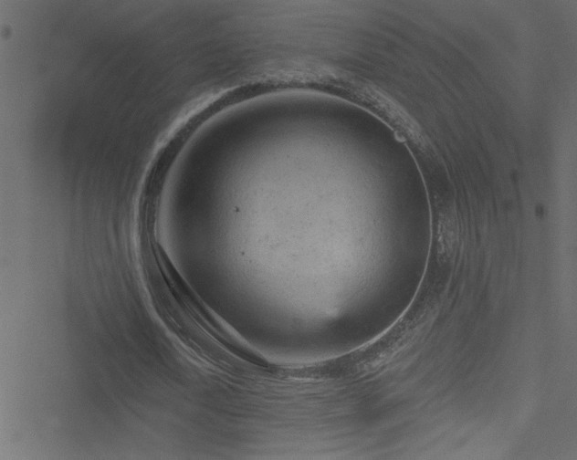 X0000051890722200506241348