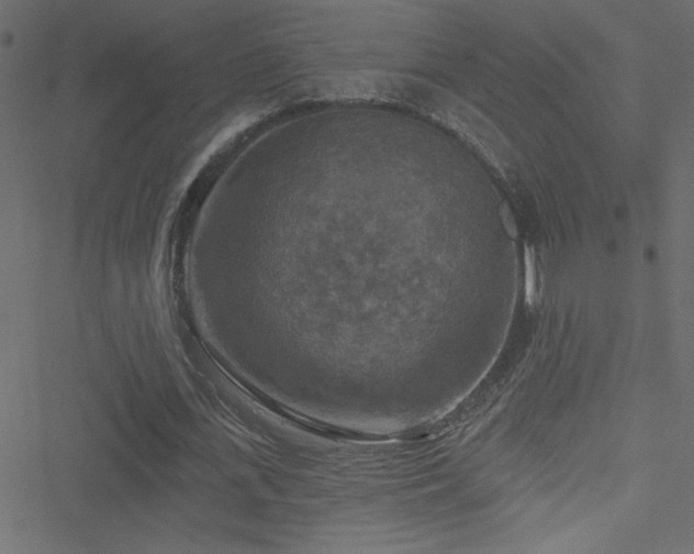 X0000051890723200506241348