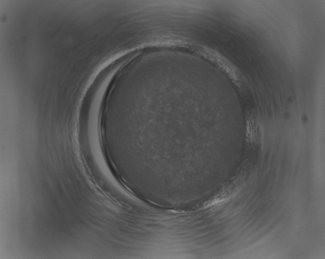 X0000051890724200506241348