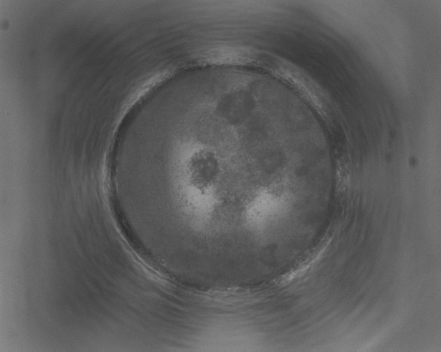 X0000051890725200506241348