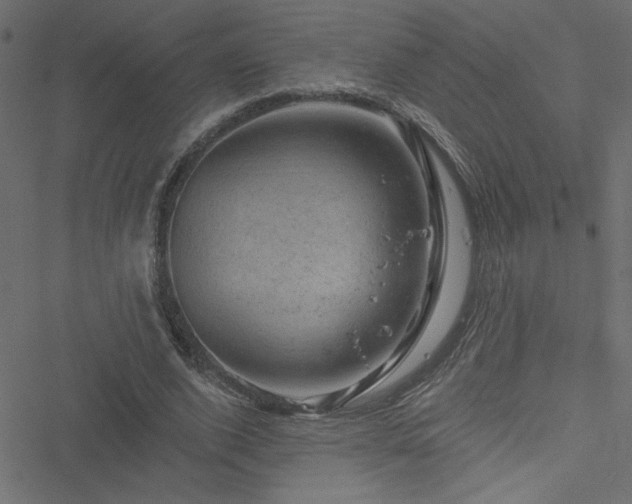 X0000051890728200506241348