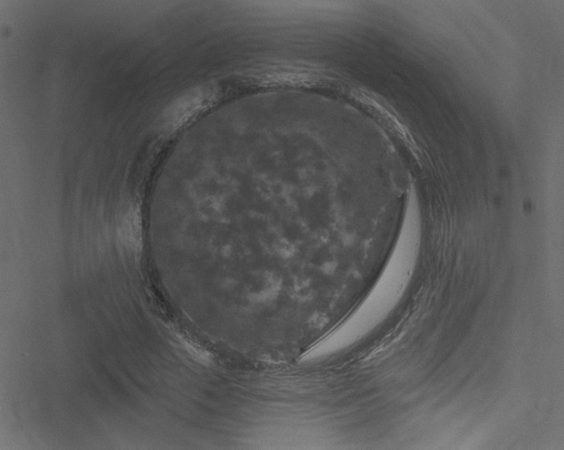 X0000051890729200506241348