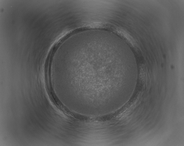 X0000051890730200506241348