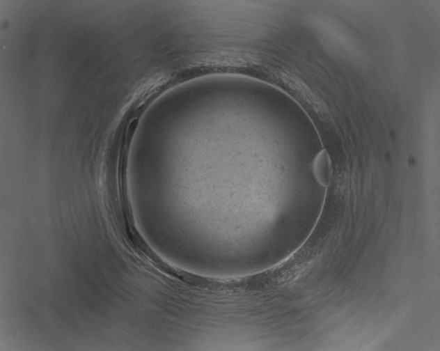 X0000051890731200506241348