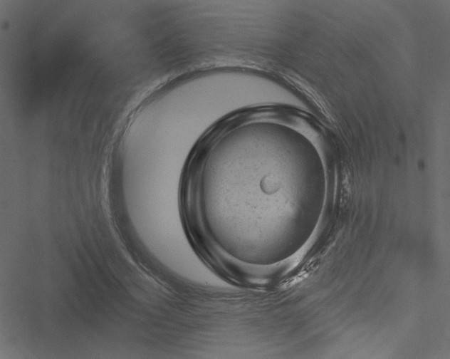 X0000051890732200506241348