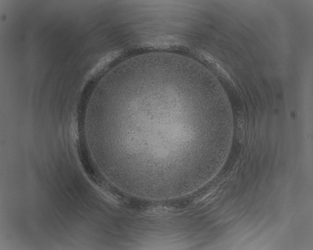 X0000051890734200506241348