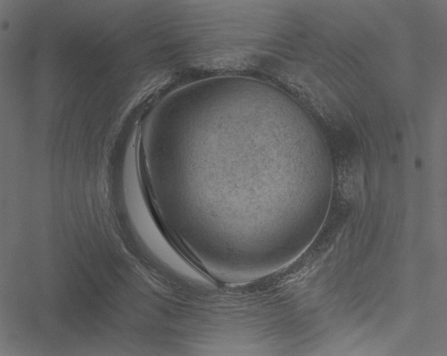 X0000051890735200506241348