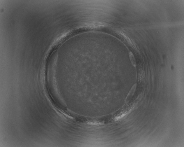 X0000051890736200506241348