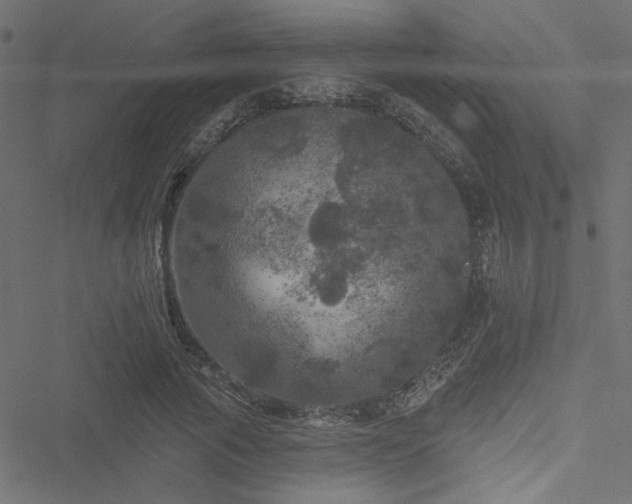 X0000051890737200506241348