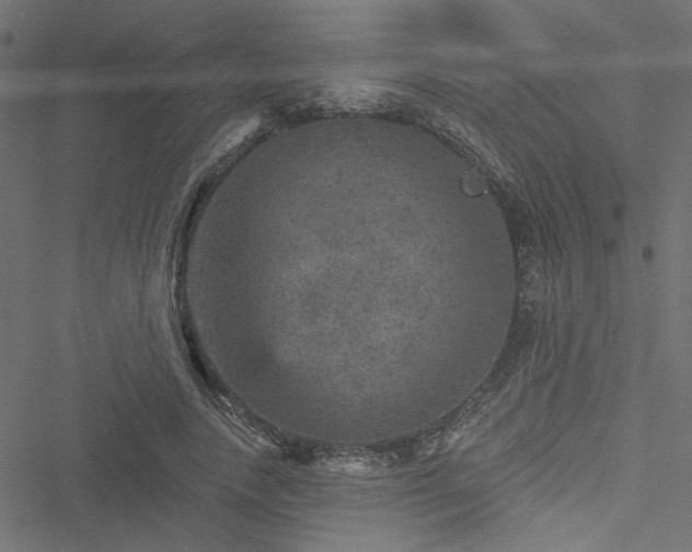 X0000051890738200506241348