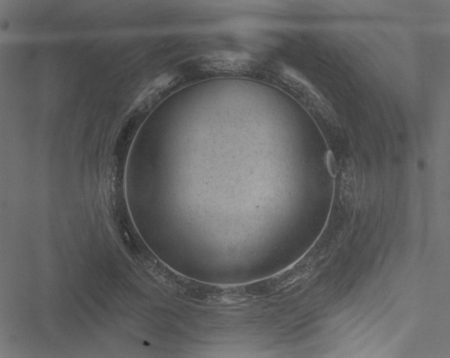 X0000051890739200506241348