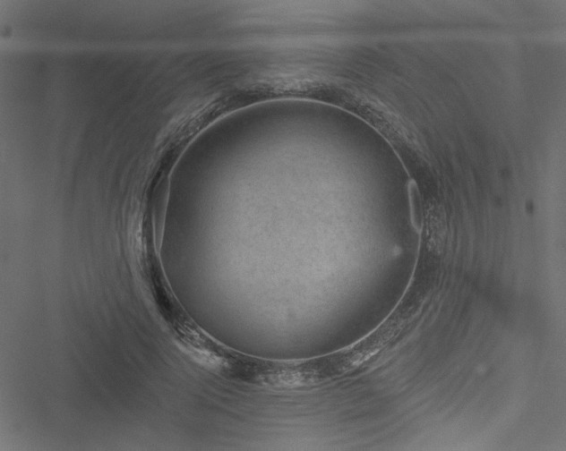 X0000051890740200506241348