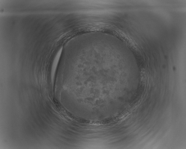 X0000051890741200506241348