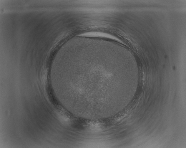 X0000051890742200506241348