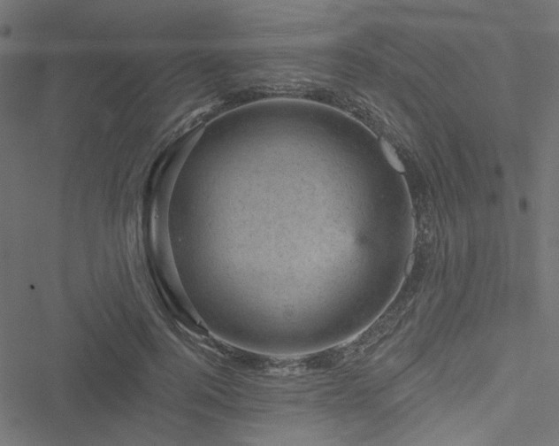 X0000051890744200506241348