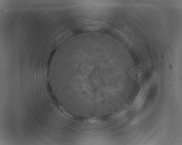 X0000051890745200506241348