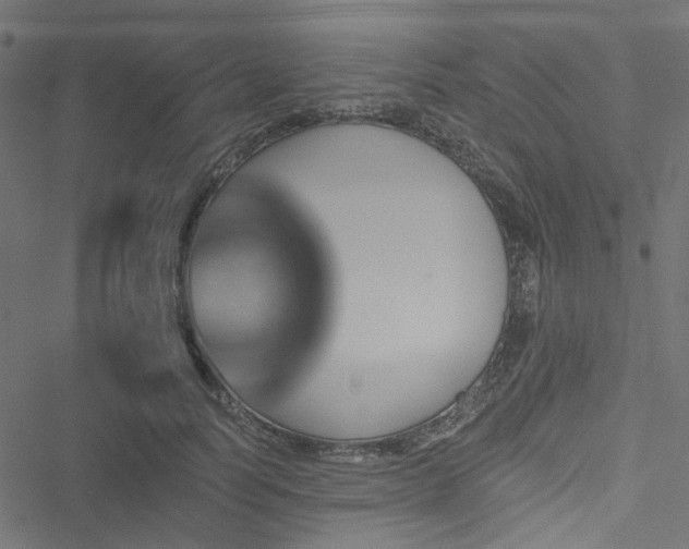 X0000051890746200506241348