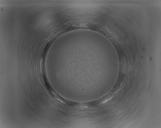 X0000051890747200506241348