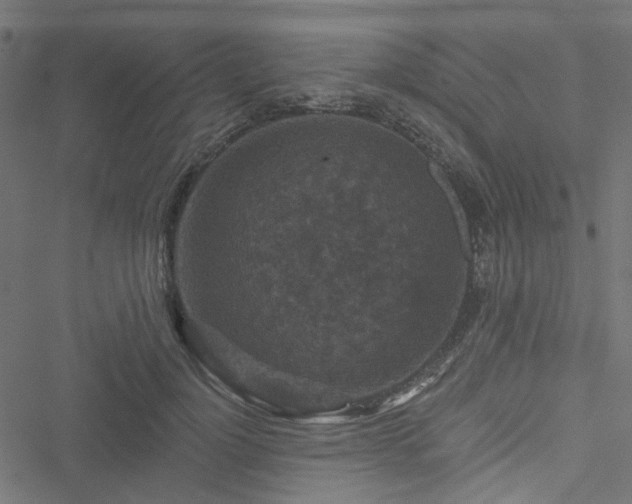 X0000051890748200506241348