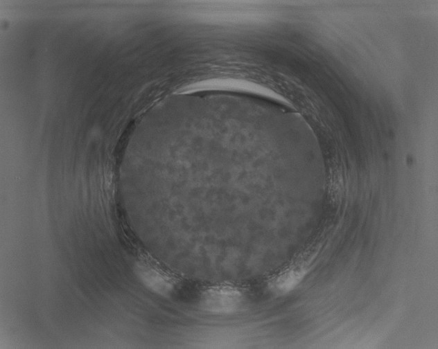 X0000051890749200506241349