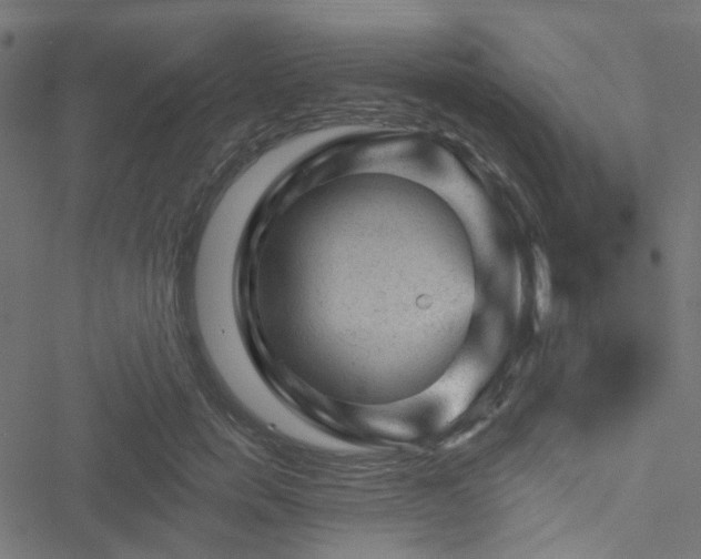 X0000051890750200506241349