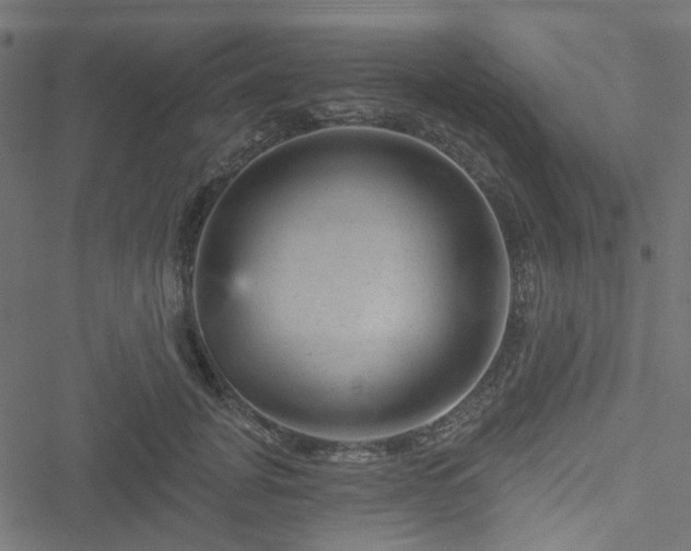 X0000051890751200506241349