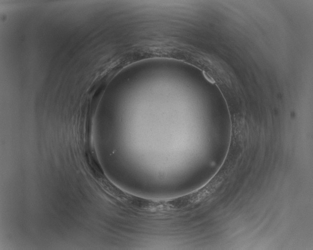 X0000051890752200506241349