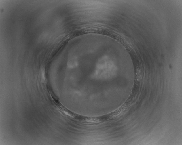 X0000051890753200506241349