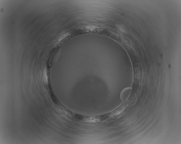 X0000051890754200506241349