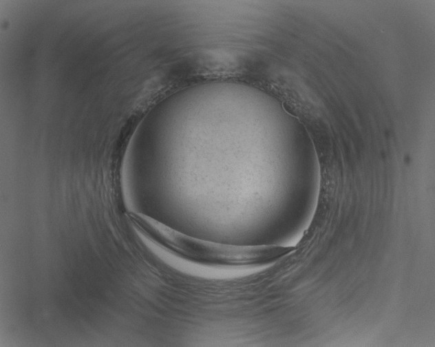 X0000051890755200506241349