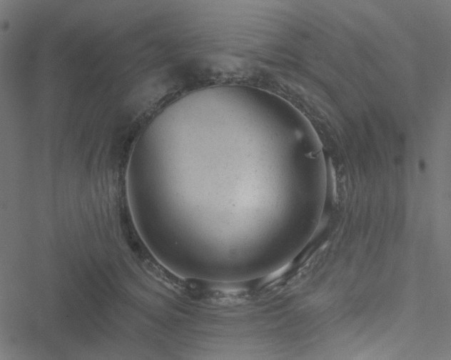 X0000051890756200506241349