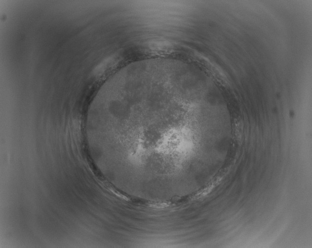 X0000051890757200506241349