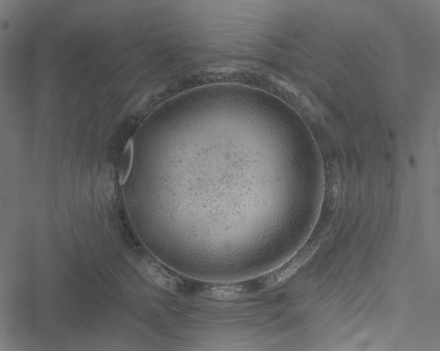 X0000051890758200506241349