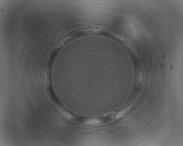 X0000051890759200506241349