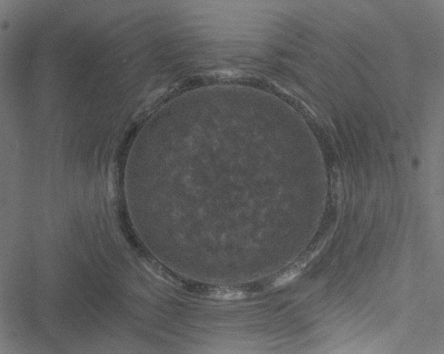 X0000051890760200506241349