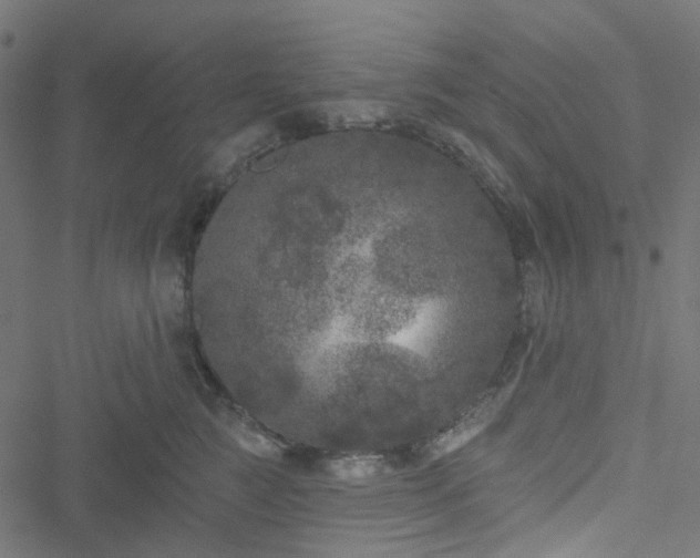 X0000051890761200506241349