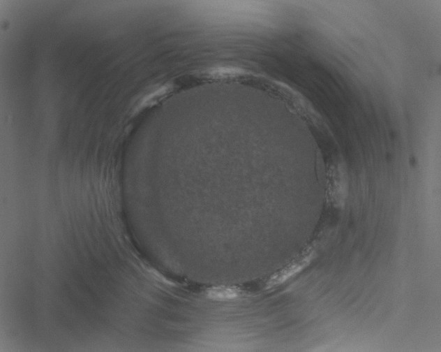 X0000051890762200506241349