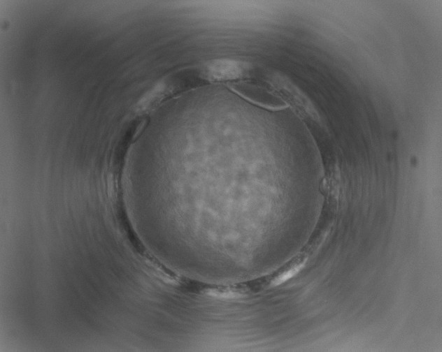 X0000051890763200506241349