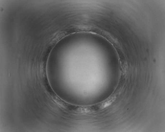 X0000051890764200506241349