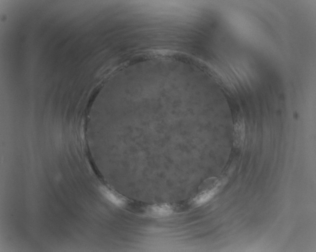 X0000051890765200506241349