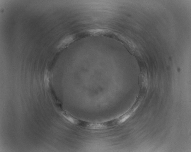 X0000051890766200506241349