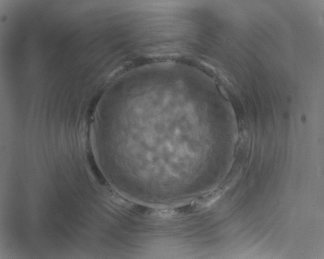 X0000051890767200506241349